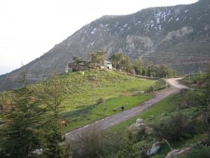 Verdure dans la périphérie de Béjaia