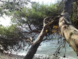 La côte de Beni Ksilen