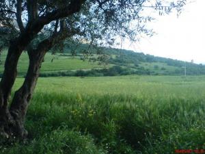 Timezrit Cité Ideraken