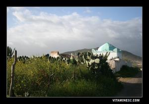 ضريح سيدي مسعود على بعد 5 كم من المالح