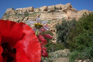 منظر طبيعي من منطقة جلال