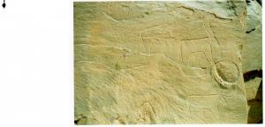 رسومات من العصر الحجري بمغارة  المفراد