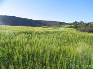 حقول زراعية بمنطقة  حبالت