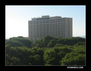 Hotel Hilton aux pins maritimes