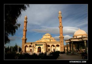 Bousaada, Mosquée du Cheikh Bachir El Ibrahimi