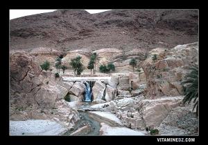 Moulin Ferrero, ou ce qu'il en reste