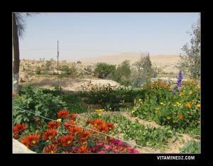 Bousaada, El Jebbana El Gabliya