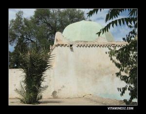 Darih de Sidi El Bjay au Cimetière de Nedroma