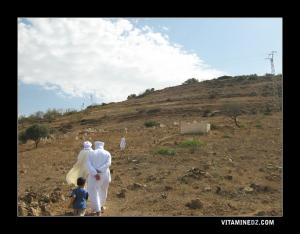 Cimetière de la zaouia des Ouled Sidi Benaamar