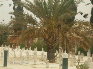 cimetière de chouhadas del-adjiba