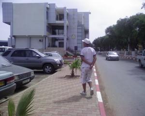 Tipaza developpement