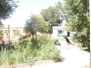 jardin des dauphins SOUGUEUR