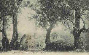 Tlemcen, Marabouts en ruine