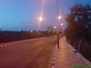 بلدية الفحول