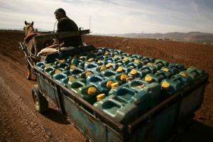 A man crosses the border between Morocco and Algeria