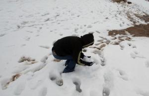 A childs plays in the snow March 07, 2008