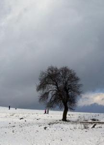 A picture taken March 07, 2008 shows people enjoying