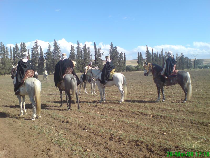 وعدة سيدي سليمان