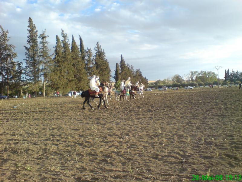 وعدة سيدي سليمان-02-