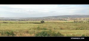 حقول خضراء بضواحي  زهانة