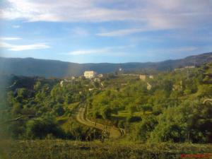 Verdure irréel de Béjaia