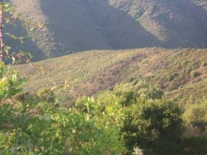 Village Issoumar  sur la périphérie de Béjaia