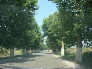 Autoroute menant à Béjaia
