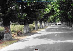 Route menant à la commune d'El-kseur