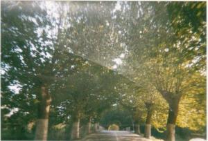 Route menant à Elkseur