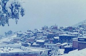 Tiliouacadi sous la neige