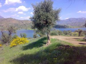 Près du barrage de Béjaia