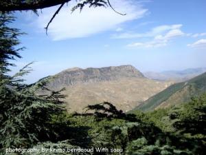 Montagne De Babors à Béjaia