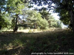 Djebel Babor( Magie de la Nature )