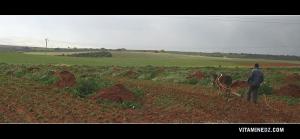 مبنى استعماري في طريق سيدي جلول