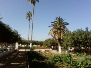 حديقة عين الأربعاء