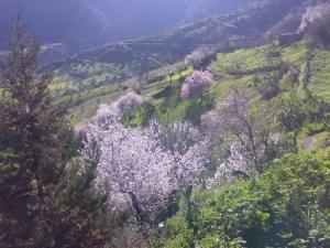 Beauté de la région de Sidi Idir au Printemps