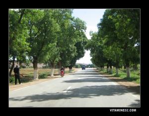 منظر طبيعي من منطقة  تاخمارت