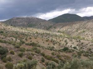 Les Montagnes de Béjaia