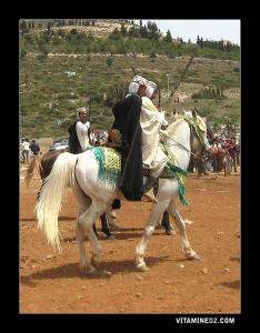 فرسان من وع