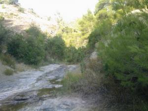 Petit cours d'eau dans la forêt de Béjaia