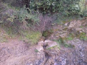 Une source naturelle dans la périphérie de Béjaia