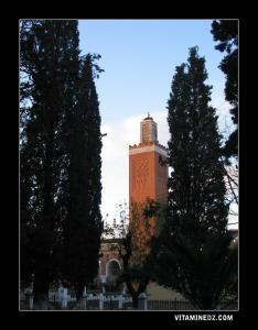 مسجد سيدي السنوسي الذي تم بناؤه في 1980 بجوار المقبرة التي تحمل نفس الإسم