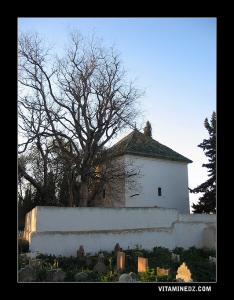 ضريح سيد سنوسي