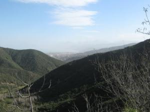 Les Vertes Forêts de Béjaia