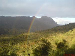 La forêt de Freha partagée entre la pluie et le soleil