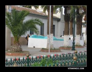 ضريح سيدي معمر بلعالية