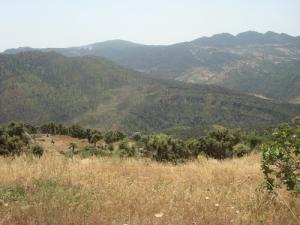 Paysage d'Ait Ali Abdallah (Wilaya de Béjaia)