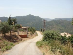 Route vers Dechra d'Ait Ali Abdellah