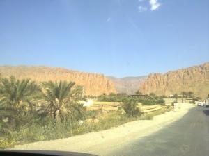 Entrée d'une Palmeraie à Biskra