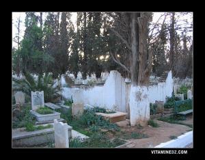 ضريح سيدي بن سهلة خلف بمقبرة سيدي سنوسي